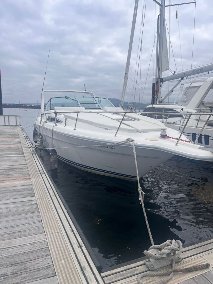 SEARAY - Imagen 2